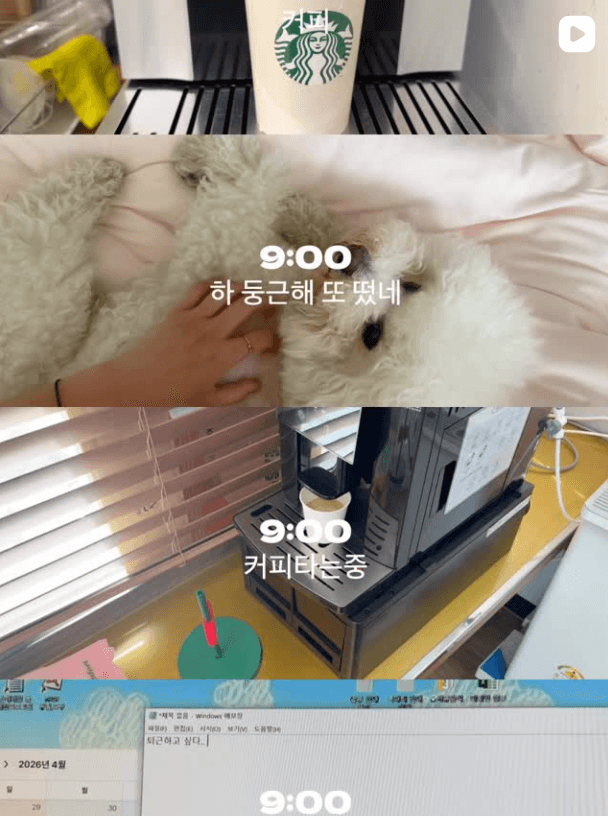 셋로그 실제 콘텐츠 미리보기